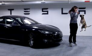 Illustration for article titled A Complete Circuit - A Tesla Road Trips the United States